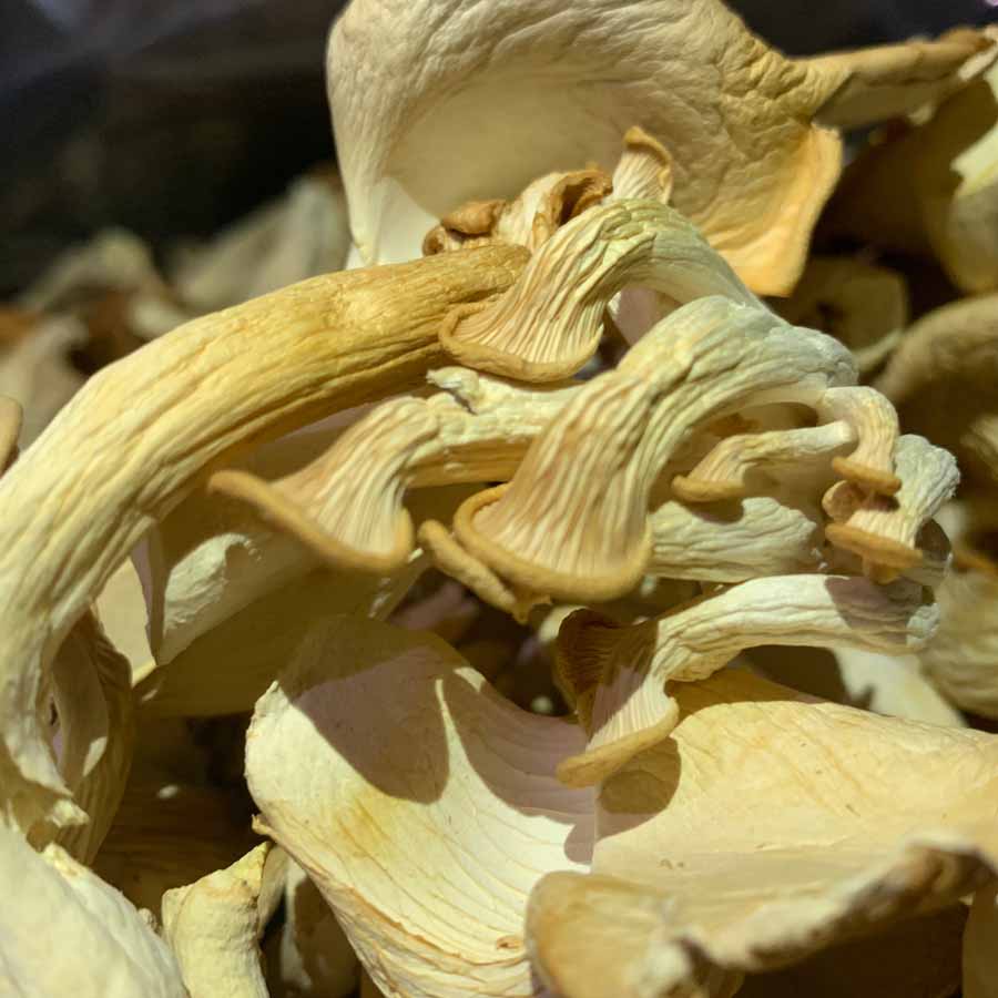 秀珍菇干货:1箱x120g/件 干货 存储期长 美味新鲜